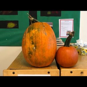 Meet your Posher, Naomj